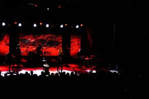 fot. Patrycja Kotecka