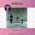 Zespół Sonbird zapowiada album „Świetnie” – singiel „Zadzwoń do mnie” już dostępny